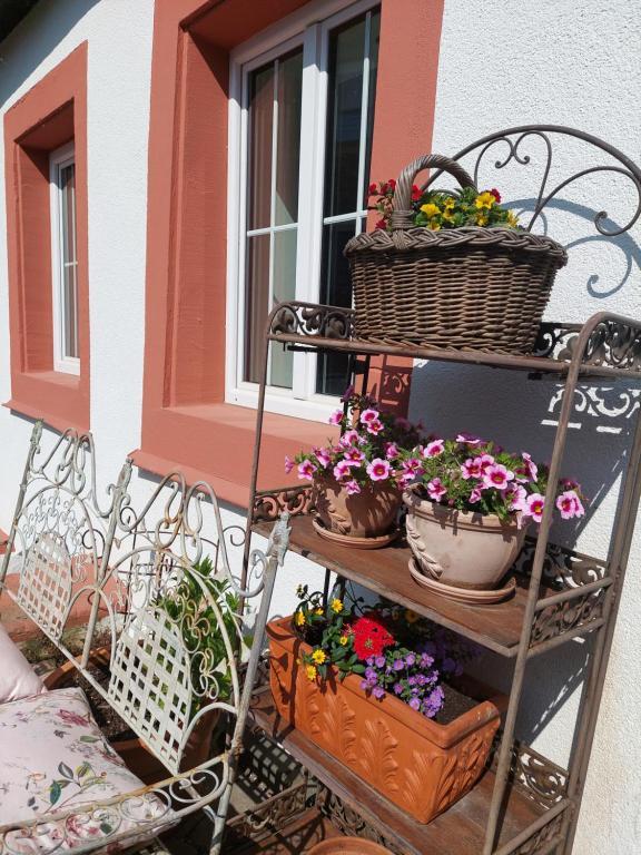 Romantisches Ferienhaus In Moselnaehe Maring-Noviand Esterno foto